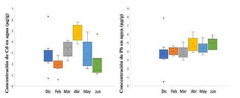 Variación de cadmio (Cd) y plomo (Pb) en la
matriz agua, entre los meses de muestreo.