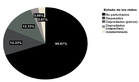 Estados de los nidos