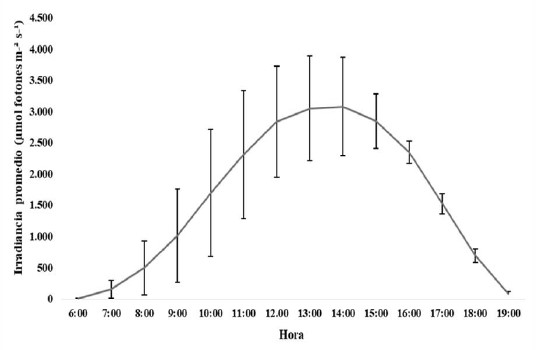 Crecimiento experimental (l&iacute;nea con marcadores) y su
ajuste de crecimiento te&oacute;rico (marcadores) de la
cepa D008-2 de Prorocentrum lima en
100 mL de L1-Si