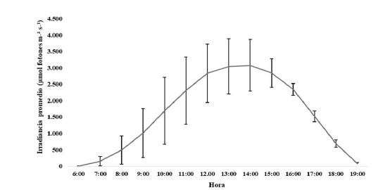 Irradiaci&oacute;n promedio diaria en el estanque correspondiente al mesocosmos de verano (febrero a marzo de 2019)