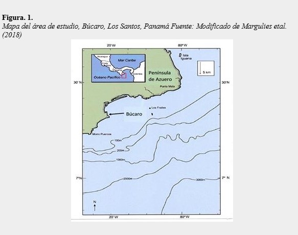 Mapa del área de estudio, Búcaro, Los Santos, Panamá
Fuente: Modificado de Margulies et al.
(2018)