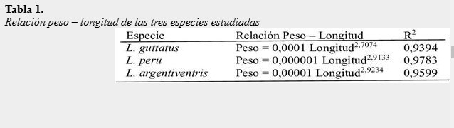 Relación peso – longitud de las tres especies estudiadas