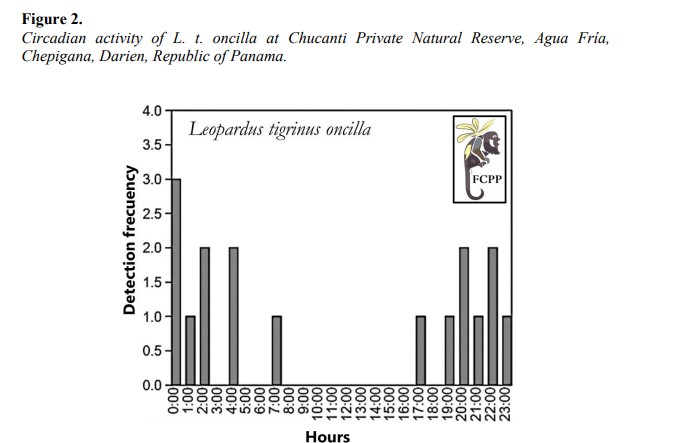 Circadian activity of L. t. oncilla at Chucanti Private Natural Reserve, Agua Fría, Chepigana, Darien, Republic of
Panama.