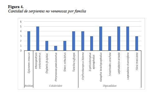 Cantidad de serpientes no venenosas por familia