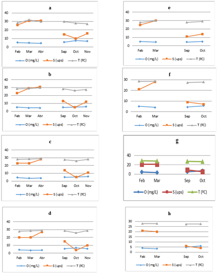 Par&aacute;metros F&iacute;sico-Qu&iacute;micos en las 4
estaciones de colecta en luna llena y luna nueva. Luna llena, estaciones 1, 2,
3, y 4 (a, b, c, d, respectivamente). Luna nueva, estaciones 1, 2, 3 y 4 (e, f, g, h, respectivamente).
