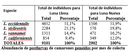 Porcentaje de postlarvas
colectadas durante los per&iacute;odos de luna llena y luna nueva