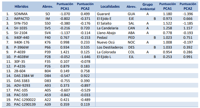 Puntuaciones de los dos ejes
correspondientes a los componentes principales (PCA) para rendimiento de grano
blanco según genotipo y localidad, PCCMCA, 2016.