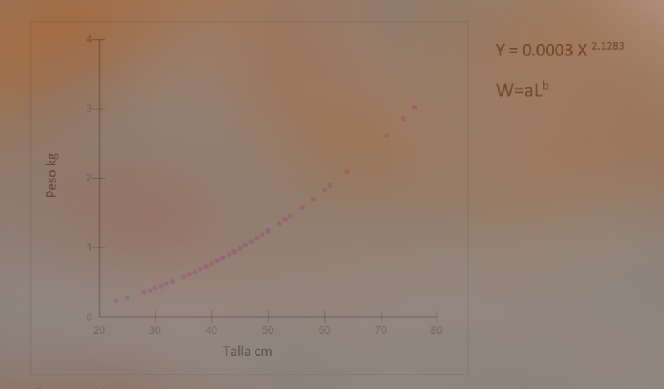 Figura 8. Crecimiento alométrico negativo de Scomberomorus sierra, Pacífico
veragüense, 2015-2018  

 