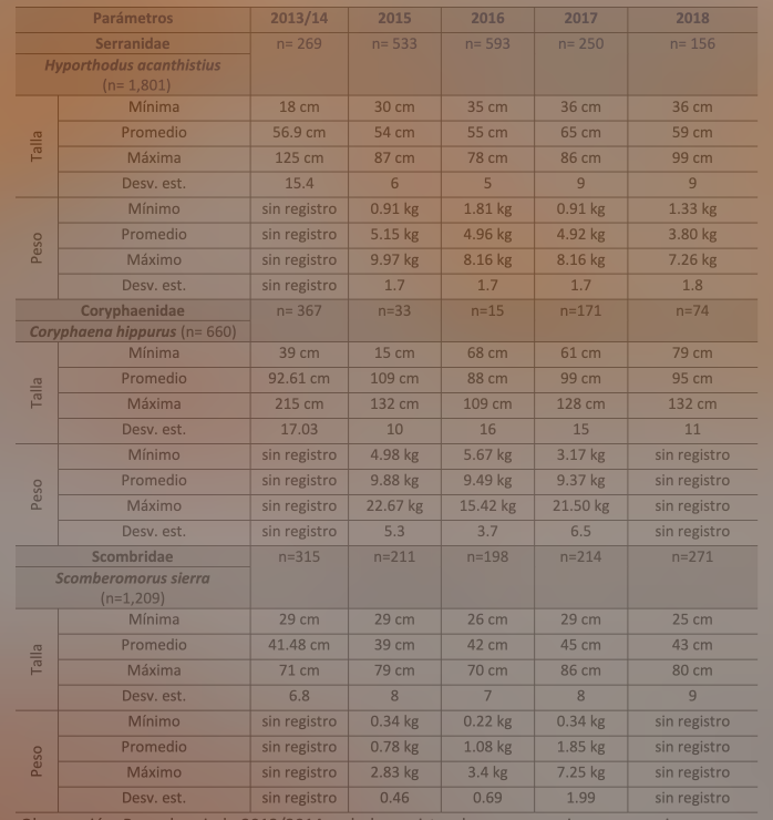Tabla 1. Talla y peso de Hyporthodus
acanthistius, Coryphaena hippurus y Scomberomorus sierra del Pacífico veragüense
2013-2018