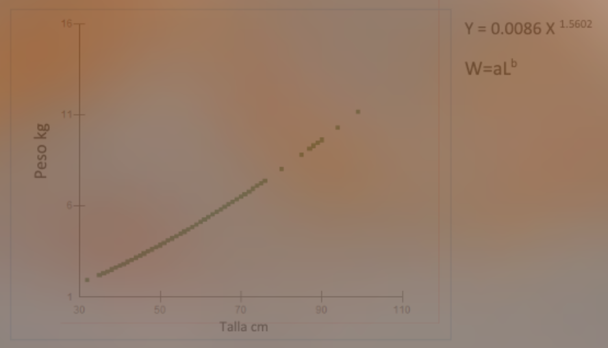Figura 6. Crecimiento alométrico negativo de Hyporthodus acanthistius, Pacífico
veragüense, 2015-2018