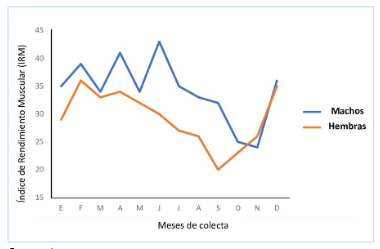 Figura 9. Variación mensual del
índice de rendimiento muscular (IRM) de hembras y machos de Ctenoides scaber 

 