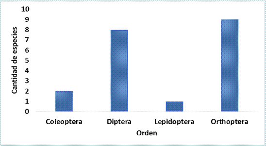 Cantidad de especies de insectos por orden con potencial de ser utilizados en el procesamiento de basura