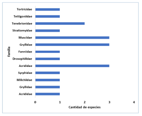 Cantidad de especies de insectos por familia con potencial de ser utilizados en el procesamiento de basura