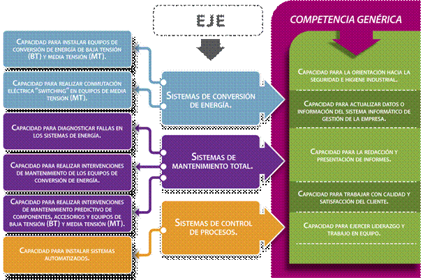 Ejes de formación del TSEAI