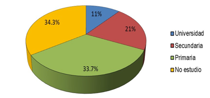 Distribución de los
participantes de acuerdo con su nivel de escolaridad en el Distrito de
Kankintú.