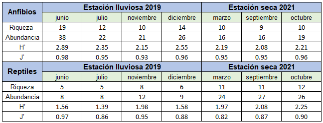 Diversidad
de Anfibios y Reptiles en la estación lluviosa y seca en el Centro Ecológico
Wetso, 

  PILA, durante los años 2019 y 2021.