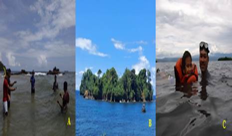 Zona de pastos marinos (a),
zona de litoral rocoso (b) y zona de arrecifes de
coral (c.