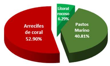 Diversidad relativa de
erizos de mar, Kusapín (Saborikäte), Ngäbe-Buglé, Bocas del Toro