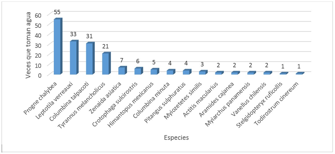 Especies vs la cantidad de veces que toman agua