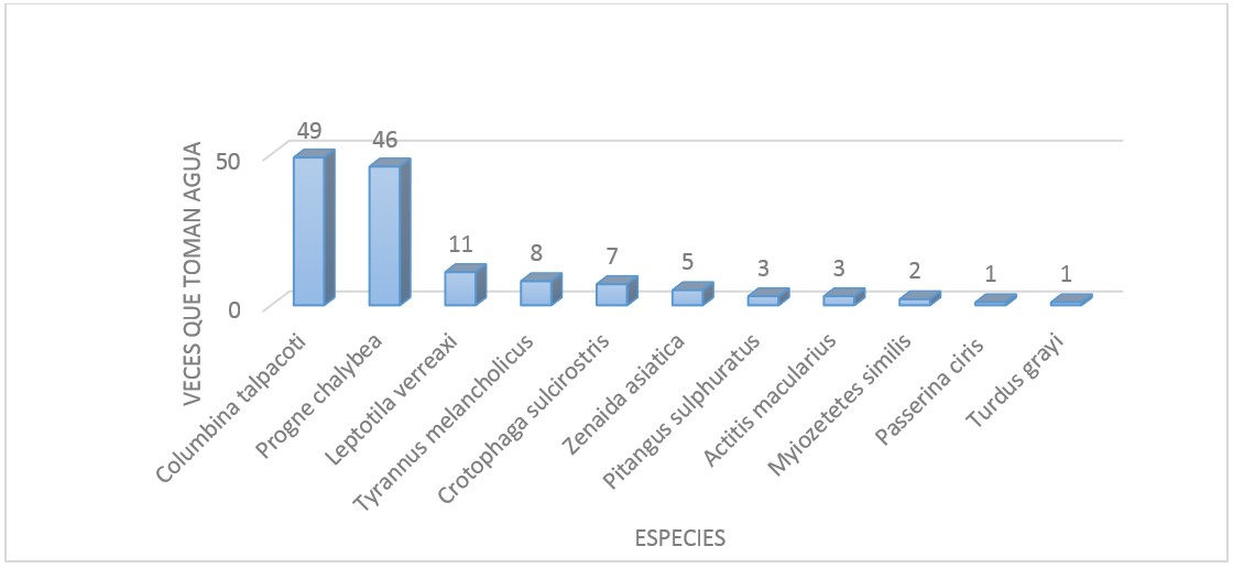 Especies vs cantidad de veces que toman agua, febrero
