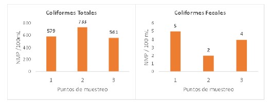 Medias de los recuentos microbiol&oacute;gicos (coliformes totales y fecales) agrupados por sitios de muestreo en el R&iacute;o Suay durante el a&ntilde;o 2021