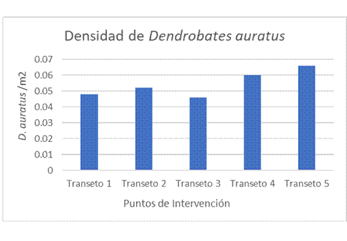 Densidad de D. auratus en los cinco transectos en Finca 4, Bocas del Toro