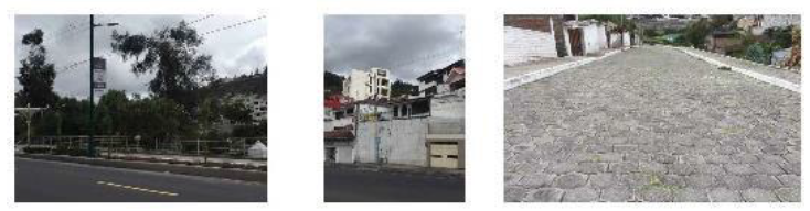 Elementos antrópicos
