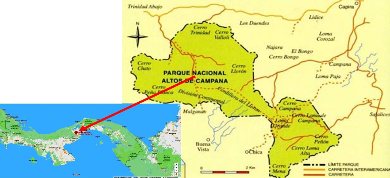  Sitio de muestreo: Parque Nacional Altos de Campana, estación Los Pinos
(MiAmbiente).
