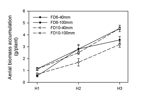 Aerial biomass
accumulation in a semi-dormant lucerne cultivar (FD6) and in a non-dormant one
(FD10) of lucerne subjected to two cutting severities (40 mm and 100 mm) and three harvest
dates (H1: 12 January 2016; H2: 19 January 2016 y H3:
26 January 2016). Vertical bars are standard errors of the mean
