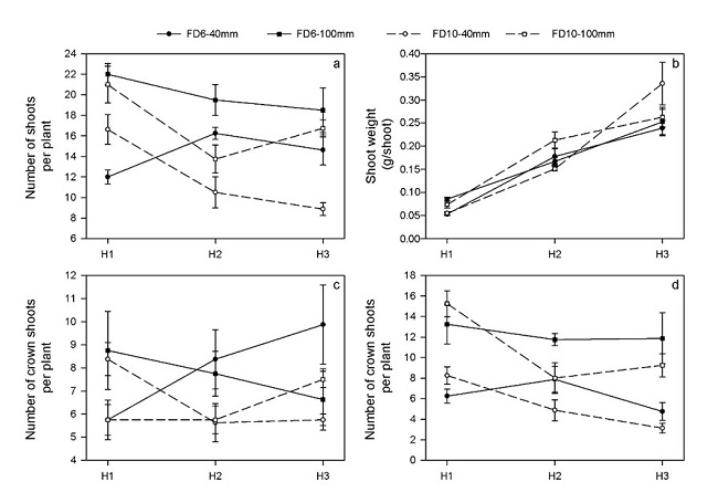 Shoots per plant
(a), shoot weight (b), crown shoots per plant (c) and axillary shoots per plant
(d) in a semi-dormant lucerne cultivar (FD6) and in a non-dormant one (FD10)
subjected to two cutting severities (40 and 100 mm) and three harvest dates
(H1: 12 January 2016; H2: 19 January 2016 y H3: 26 January 2016). Vertical bars
are standard errors of the mean