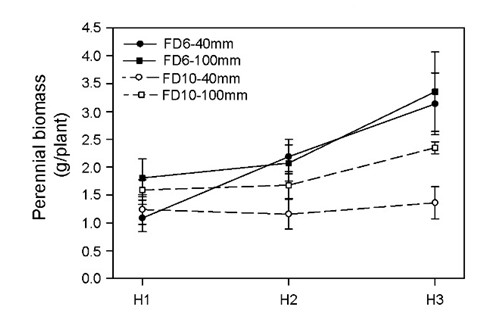  Perennial (crown
+ 300 mm upper section of the tap root) biomass per plant in a semi-dormant
lucerne cultivar (FD6) and in a non-dormant one (FD10) subjected to two cutting
severities (40 and 100 mm) and three harvest dates (H1: 12 January
2016; H2: 19 January 2016 y H3: 26 January 2016). Vertical
bars are standard errors of the mean