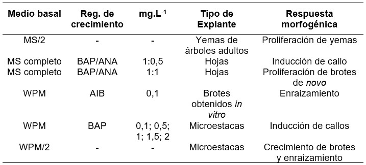 Medios de
cultivo y la respuesta morfogénica de explantes de S. humboldtiana.