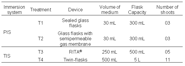 Treatments for the
  cultivation of pineapple shoots in liquid culture medium in permanent
  immersion system (PIS) or temporary immersion system (TIS).