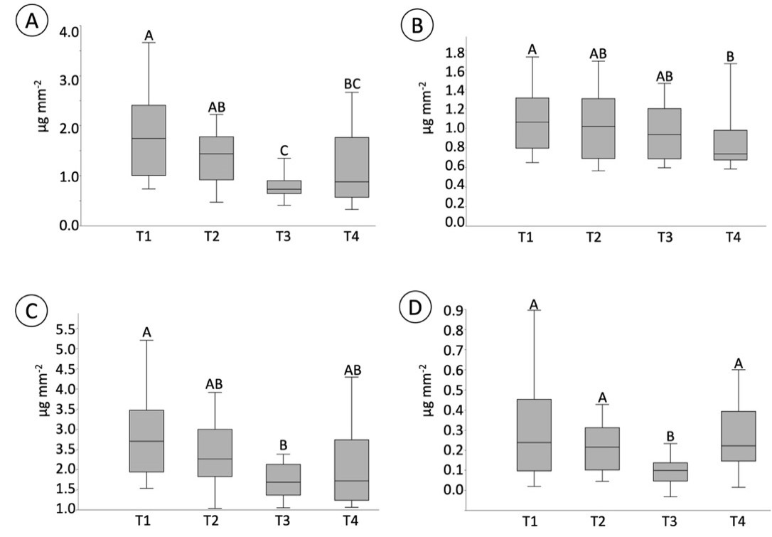 Photosynthetic pigments in Ananas comosus shoots after 45 days of
cultivation in four different devices. (A)
Content of chlorophyll a in leaves. (B) Content of chlorophyll b in leaves. (C) Content of total chlorophyll in leaves. (D) Content of total carotenoids in leaves. Data represent the mean
± standard error (SE) of four or five biological replicates (see text for
details). Different letters indicate significant differences at p < 0.05 (Tukey test).