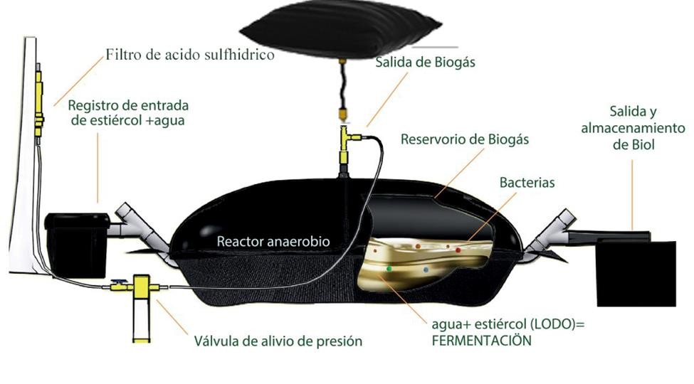 Figura 1. Diseño del biodigestor instalado para la producción de biogás en el RUPAP. Fuente. 

Empresa Tecnosol S. A.
donante del
biodigestor. 

 