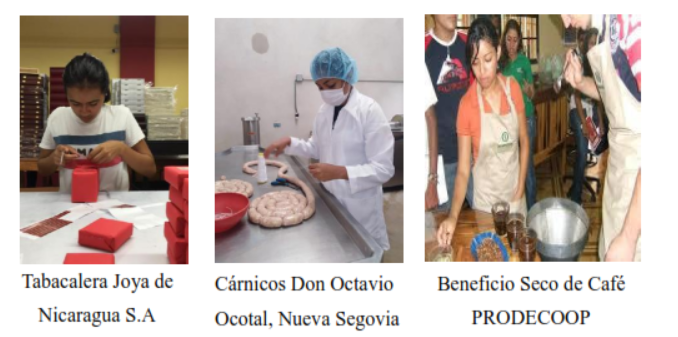 Figura 2. Estudiantes
de tercer año y cuanto año realizando prácticas en las empresas.