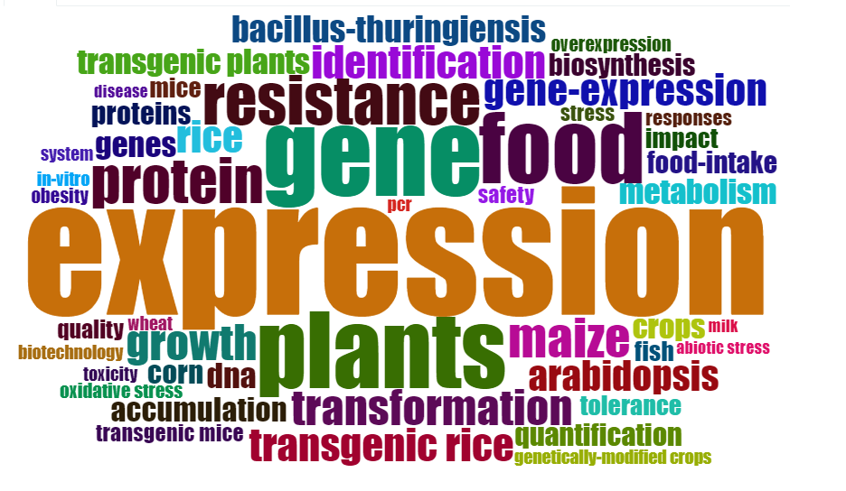 Figura 3. Palabras
claves m&aacute;s encontradas en la b&uacute;squeda de transg&eacute;nicos biofortificados.