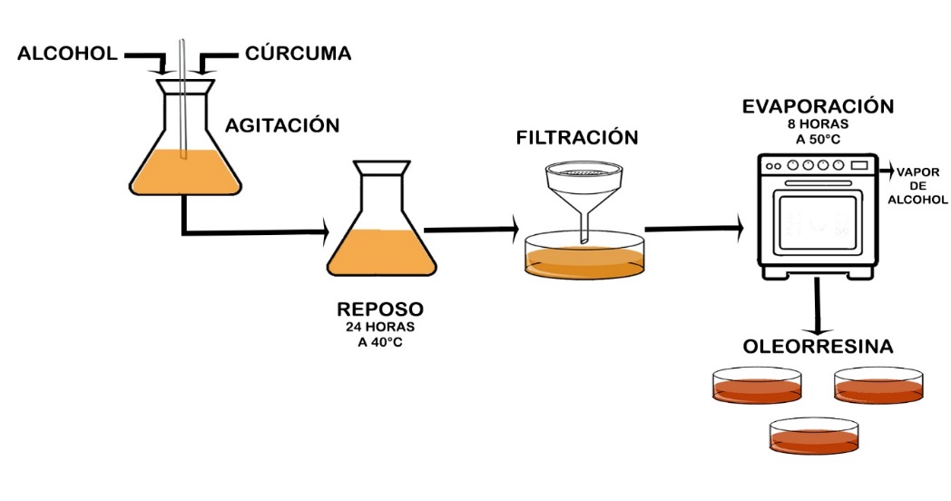 Figura 1. Extracci&oacute;n de la oleorresina de c&uacute;rcuma