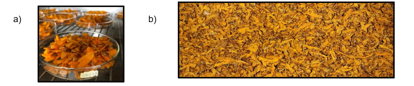 Figura 3. a) C&uacute;rcuma en tiras antes del secado b) C&uacute;rcuma seca