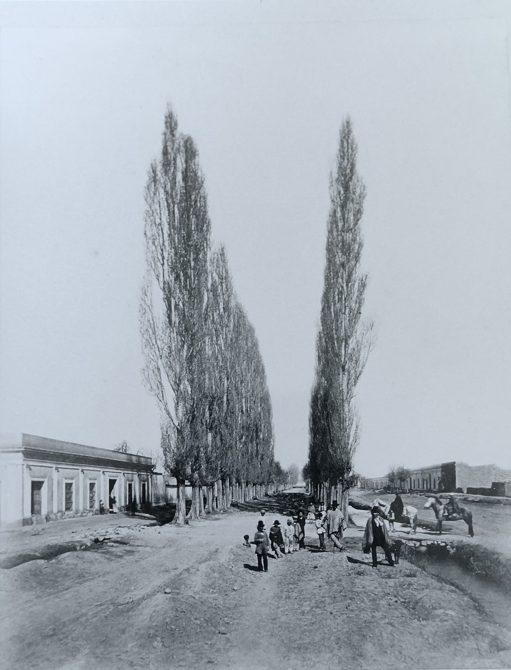 Acequia que proveía de agua en calle Alameda
(Ciudad vieja)