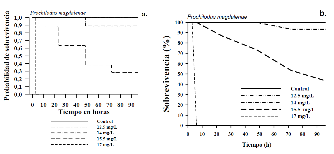 Figura 1. (a.) Curvas
Kaplan-Meier de probabilidad de sobrevivencia para la especie y (b.) %
sobrevivencia para la especie P. magdalenae