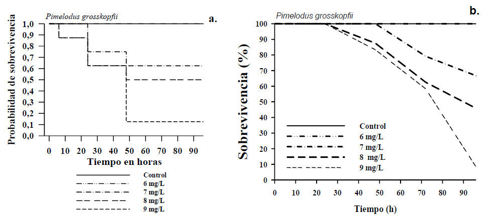 Figura 2. (a) Curvas
Kaplan-Meier de probabilidad de sobrevivencia y (b) sobrevivencia para la
especie Pimelodus grosskopfii.