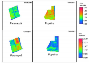 Figura
4. Diferen&ccedil;a de ETr
comparando com sistemas irrigados e n&atilde;o irrigado