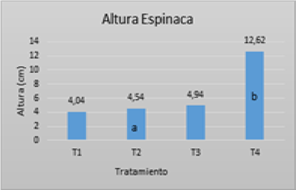 Gráfica 7. Cantidad hojas
espinaca 