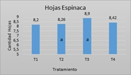 Gráfica 8. Cantidad altura
espinaca