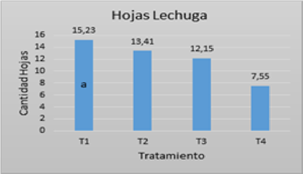 Gráfica 5. Cantidad hojas lechuga 