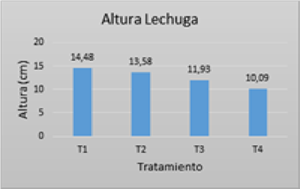 Gráfica 6. Altura de lechuga 