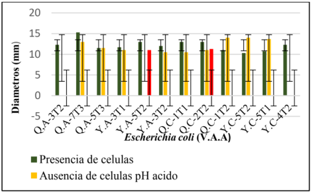 Figura 4. Actividad antimicrobiana de BAL frente a Escherichia coli (V.A.A) por los 3 métodos