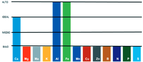 Figura 1. Interpretación de los resultados del análisis de suelos