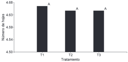 Figura 2. Número de hojas con respecto a los tres sistemas de fertirriego